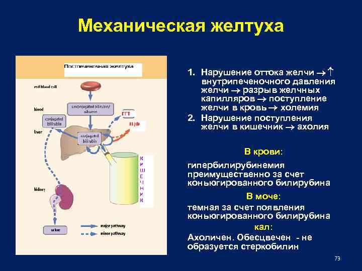 Нарушение оттока крови