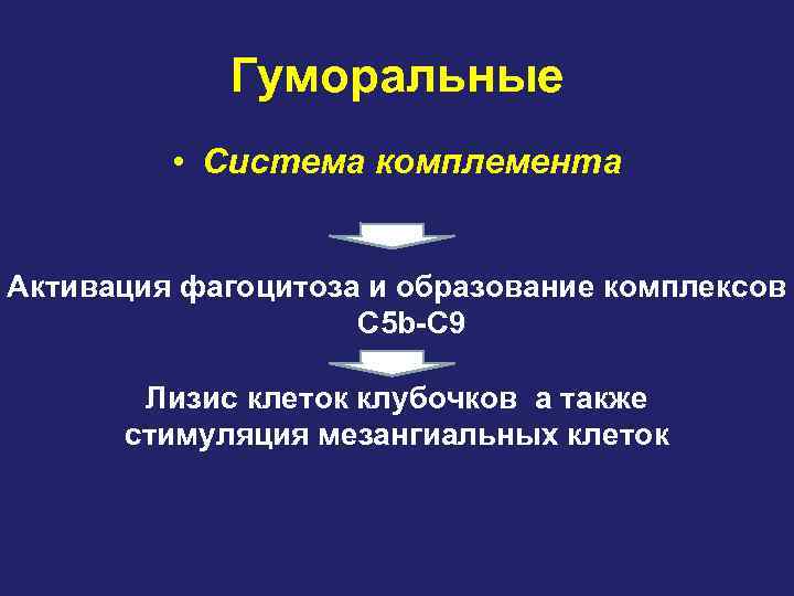 Гуморальные • Система комплемента Активация фагоцитоза и образование комплексов C 5 b-C 9 Лизис