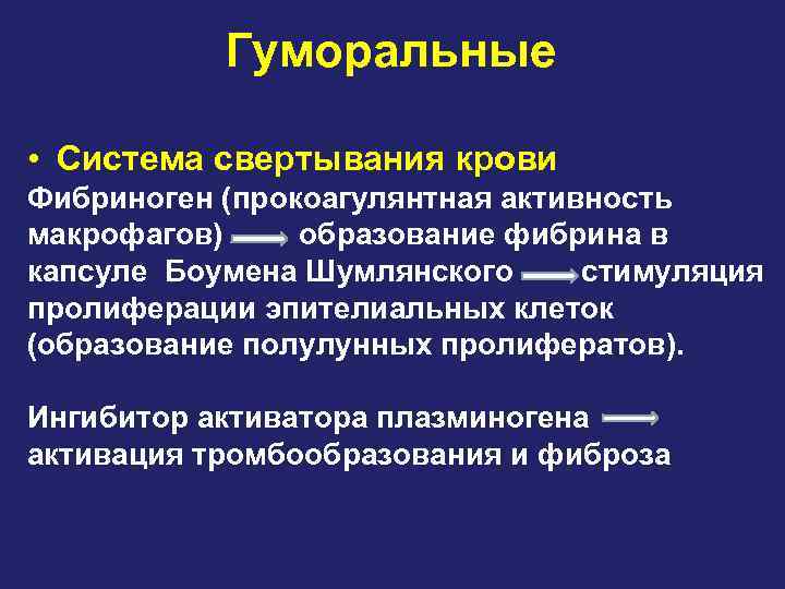 Гуморальные • Система свертывания крови Фибриноген (прокоагулянтная активность макрофагов) образование фибрина в капсуле Боумена