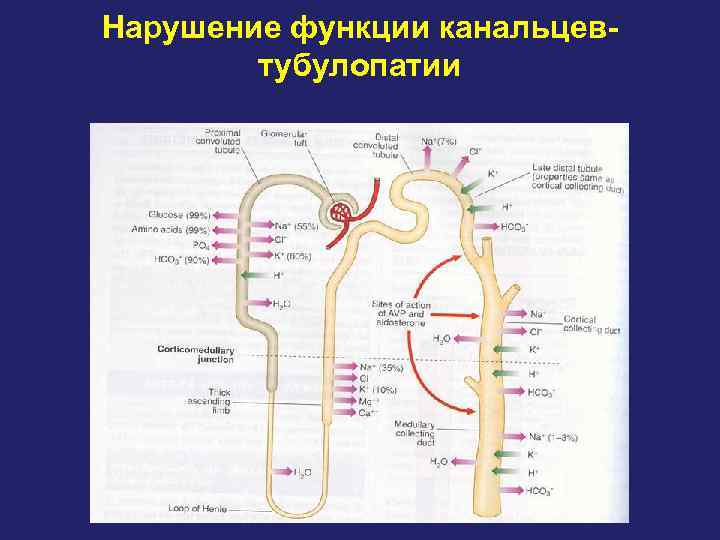 Нарушение функции канальцев- тубулопатии 