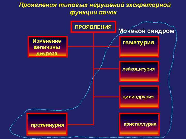 Проявления типовых нарушений экскреторной функции почек ПРОЯВЛЕНИЯ Изменение величины диуреза Мочевой синдром гематурия лейкоцитурия