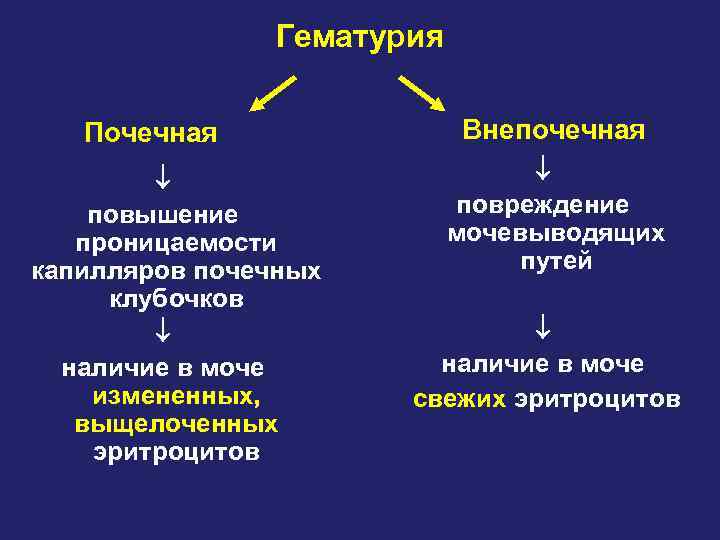 Гематурия Почечная повышение проницаемости капилляров почечных клубочков наличие в моче измененных, выщелоченных эритроцитов Внепочечная