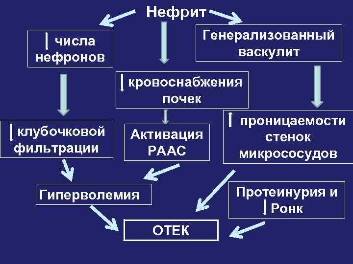 Общая этиология нарушений функции почек. Патогенез клубочковой фильтрации. Патогенез нарушения клубочковой фильтрации. 1. Общая этиология нарушений функции почек..