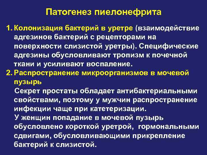 Патогенез пиелонефрита 1. Колонизация бактерий в уретре (взаимодействие адгезинов бактерий с рецепторами на поверхности