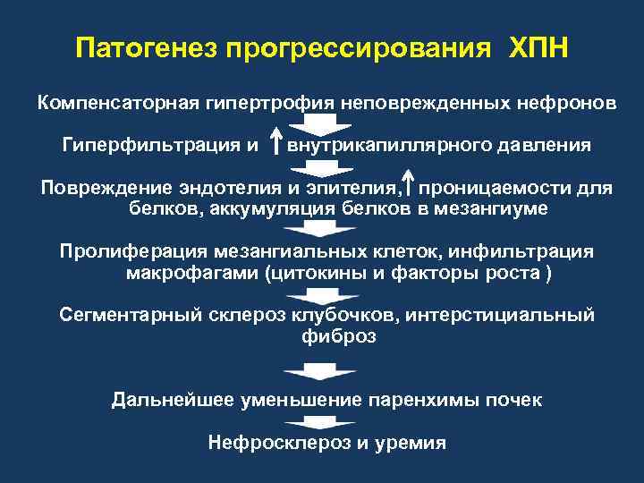 Патогенез прогрессирования ХПН Компенсаторная гипертрофия неповрежденных нефронов Гиперфильтрация и внутрикапиллярного давления Повреждение эндотелия и