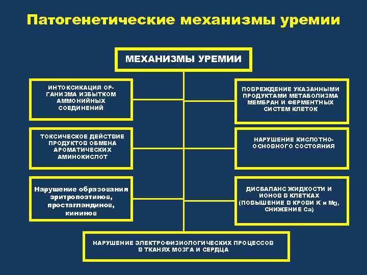 Патогенетические механизмы уремии МЕХАНИЗМЫ УРЕМИИ ИНТОКСИКАЦИЯ ОРГАНИЗМА ИЗБЫТКОМ АММОНИЙНЫХ СОЕДИНЕНИЙ ТОКСИЧЕСКОЕ ДЕЙСТВИЕ ПРОДУКТОВ ОБМЕНА