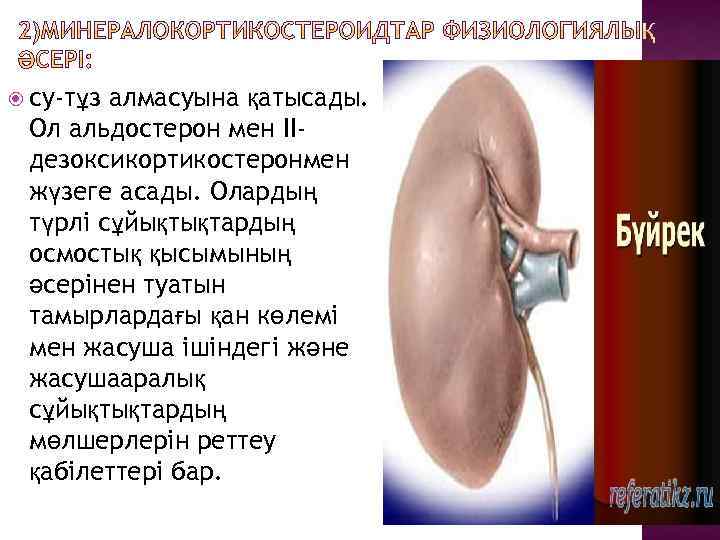 су-тұз алмасуына қатысады. Ол альдостерон мен ІІдезоксикортикостеронмен жүзеге асады. Олардың түрлі сұйықтықтардың осмостық