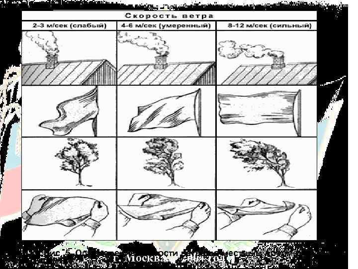 Рис. 5. Определение скорости ветра по местным предметам г. Москва 2004 год 