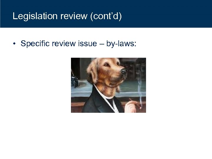 Legislation review (cont’d) • Specific review issue – by-laws: 