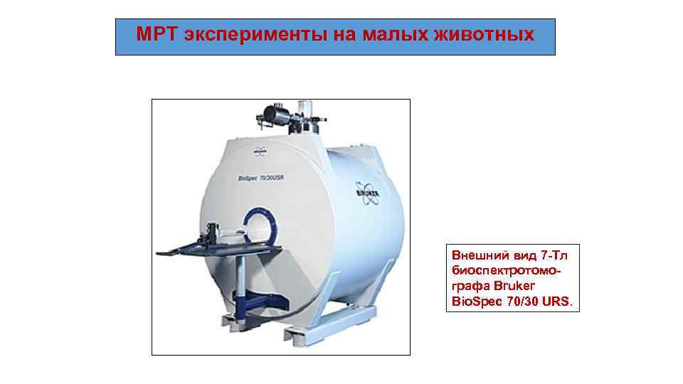 МРТ эксперименты на малых животных Внешний вид 7 -Тл биоспектротомографа Bruker Bio. Spec 70/30