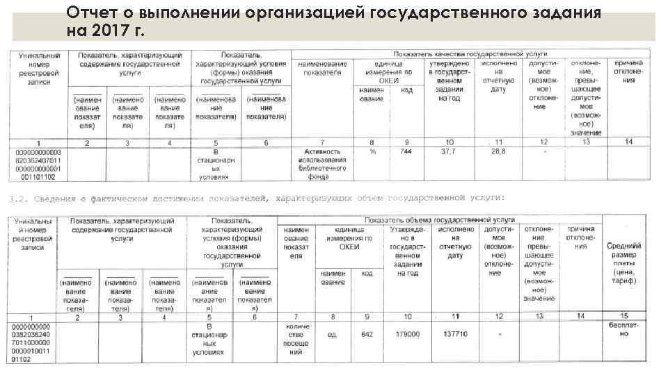 Отчет о выполнении организацией государственного задания на 2017 г. 