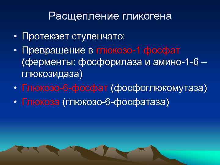 Расщепление гликогена • Протекает ступенчато: • Превращение в глюкозо-1 фосфат (ферменты: фосфорилаза и амино-1