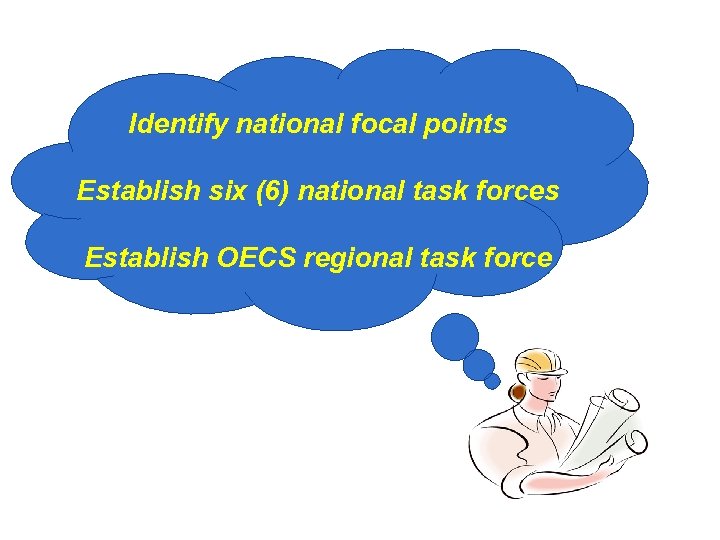 Identify national focal points Establish six (6) national task forces Establish OECS regional task