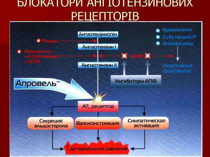 БЛОКАТОРИ АНГІОТЕНЗИНОВИХ РЕЦЕПТОРІВ 