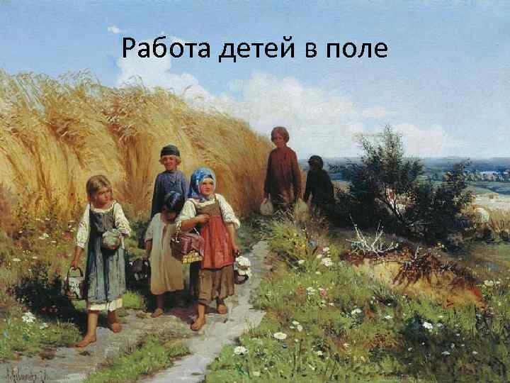 Работа детей в поле 