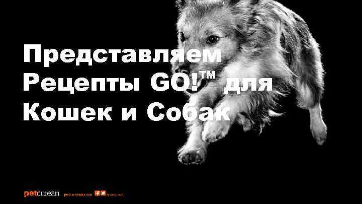 Представляем ™ для Рецепты GO! Кошек и Собак 