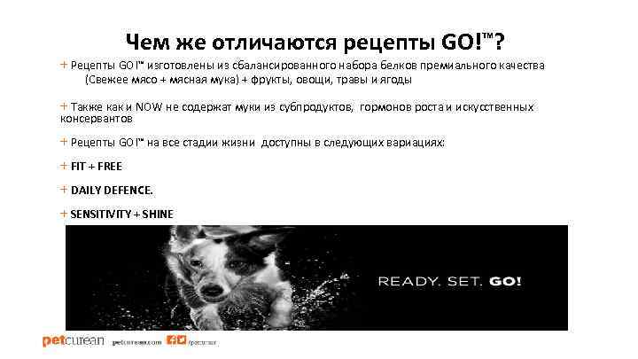 Чем же отличаются рецепты GO!™? + Рецепты GO!™ изготовлены из сбалансированного набора белков премиального