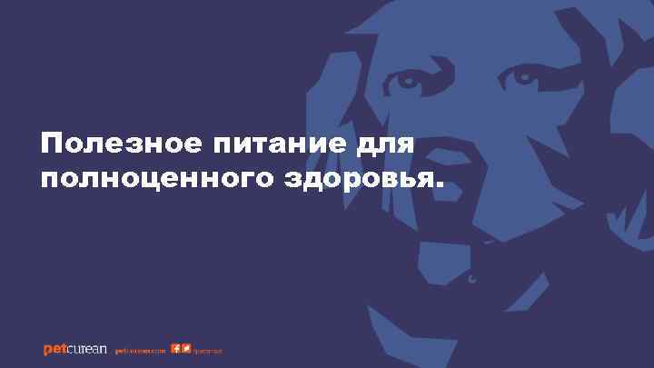 Полезное питание для полноценного здоровья. 