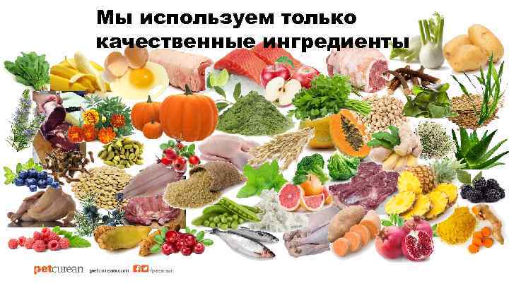Мы используем только качественные ингредиенты 
