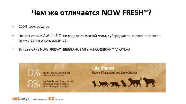 Чем же отличается NOW FRESH™? + 100% свежее мясо. + Все рецепты NOW FRESH™