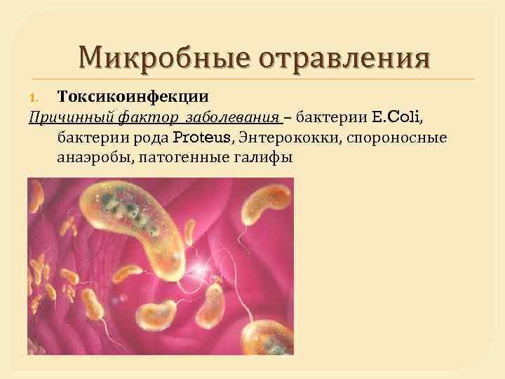 Микробные отравления Токсикоинфекции Причинный фактор заболевания – бактерии E. Coli, бактерии рода Proteus, Энтерококки,