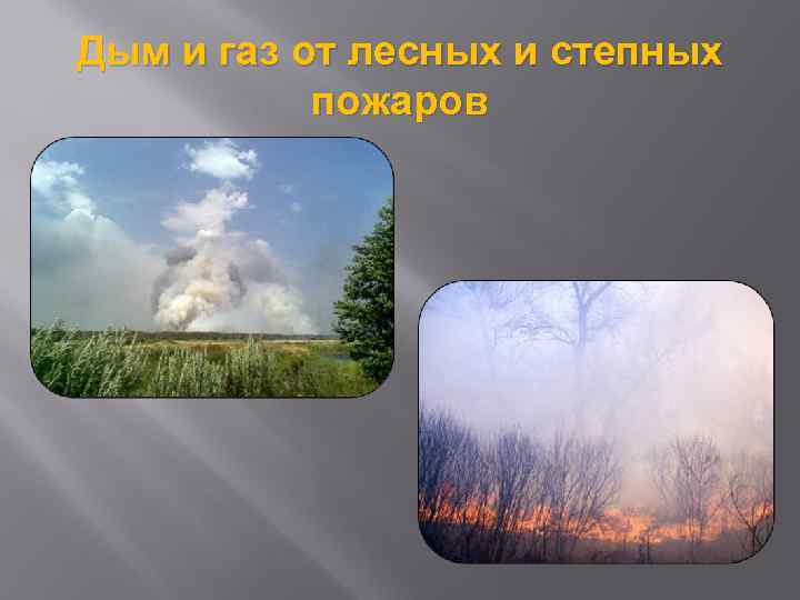 Дым и газ от лесных и степных пожаров 