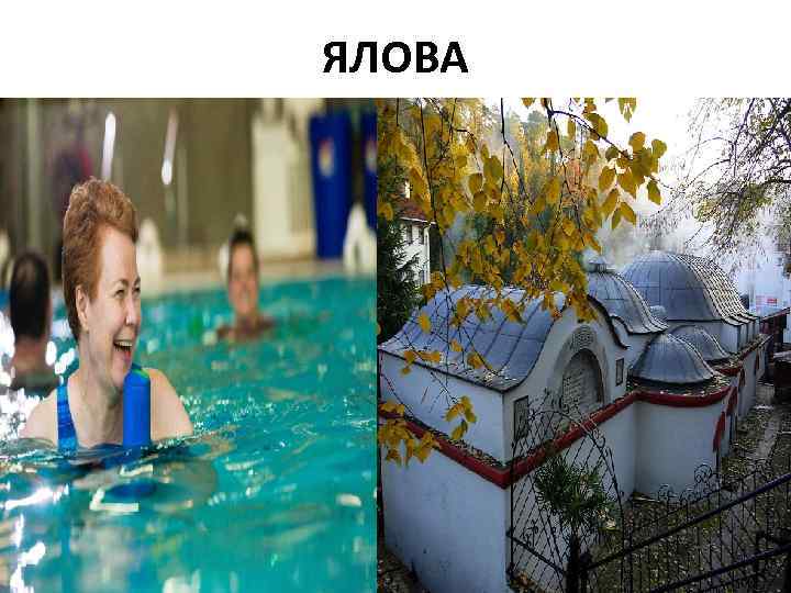 ЯЛОВА 