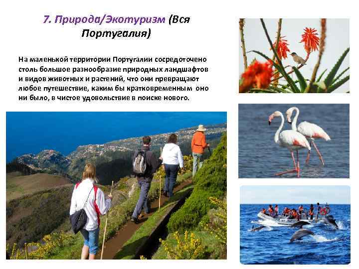 7. Природа/Экотуризм (Вся Португалия) На маленькой территории Португалии сосредоточено столь большое разнообразие природных ландшафтов