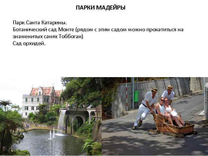  ПАРКИ МАДЕЙРЫ Парк Санта Катарины. Ботанический сад Монте (рядом с этим садом можно