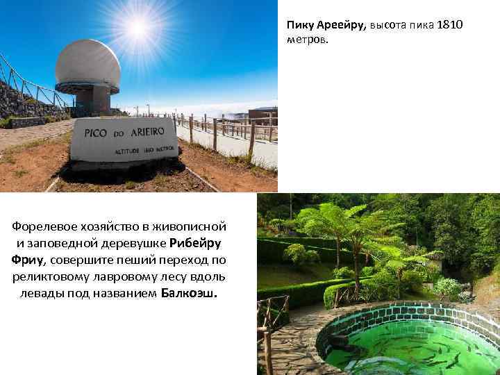 Пику Ареейру, высота пика 1810 метров. Форелевое хозяйство в живописной и заповедной деревушке Рибейру