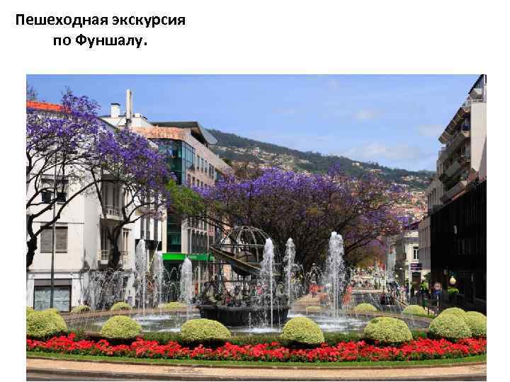Пешеходная экскурсия по Фуншалу. 