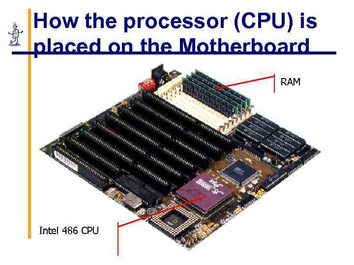 How the processor (CPU) is placed on the Motherboard RAM Intel 486 CPU 