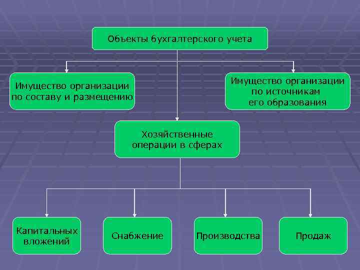 Объекты бухгалтерского учета Имущество организации по источникам его образования Имущество организации по составу и