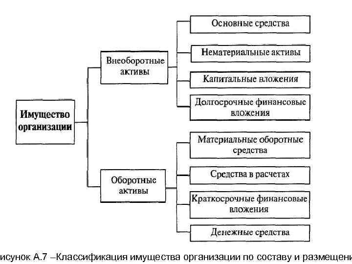 исунок А. 7 –Классификация имущества организации по составу и размещени 