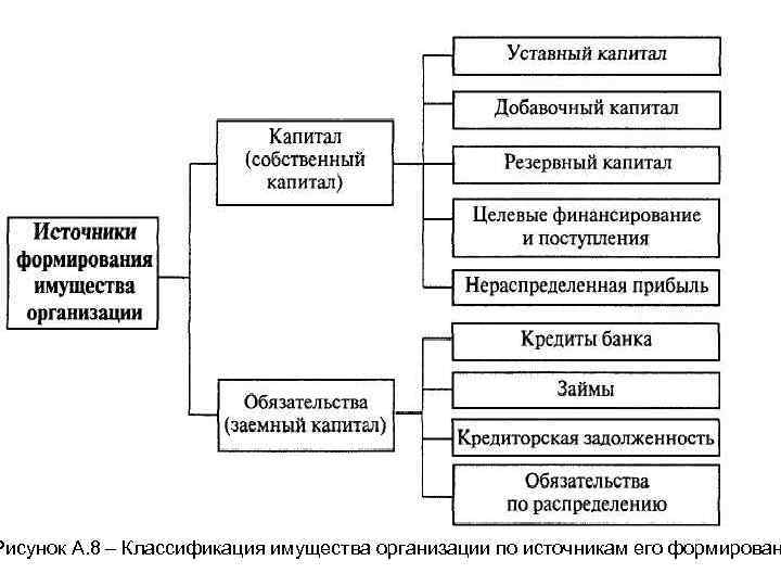 Рисунок А. 8 – Классификация имущества организации по источникам его формирован 