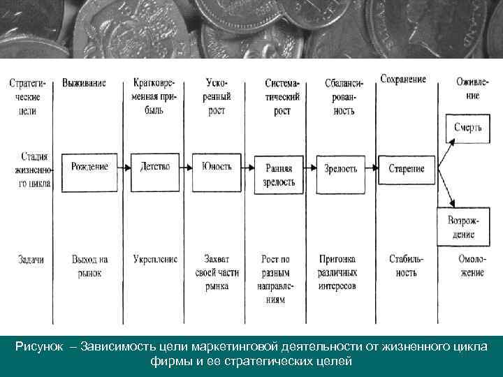 Рисунок – Зависимость цели маркетинговой деятельности от жизненного цикла фирмы и ее стратегических целей