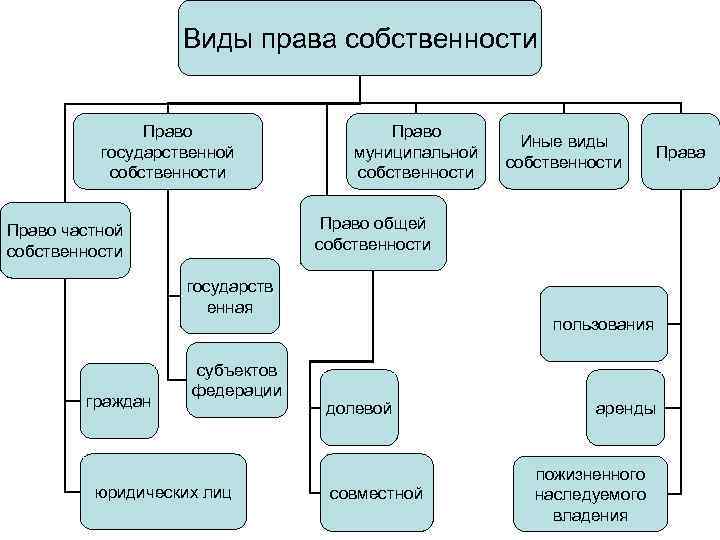 Виды государственное право