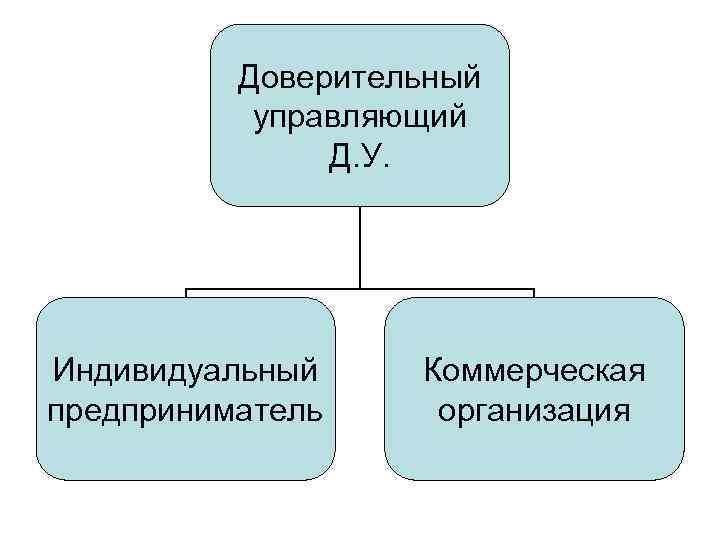 Доверительный управляющий Д. У. Индивидуальный предприниматель Коммерческая организация 