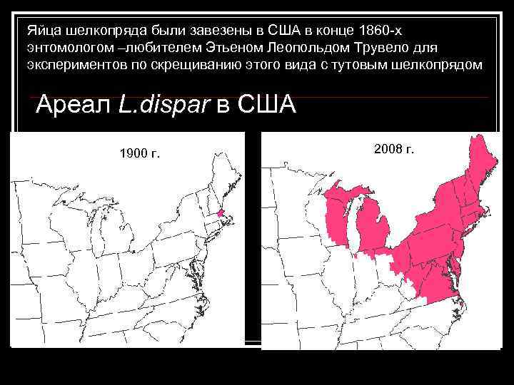 Яйца шелкопряда были завезены в США в конце 1860 -х энтомологом –любителем Этьеном Леопольдом