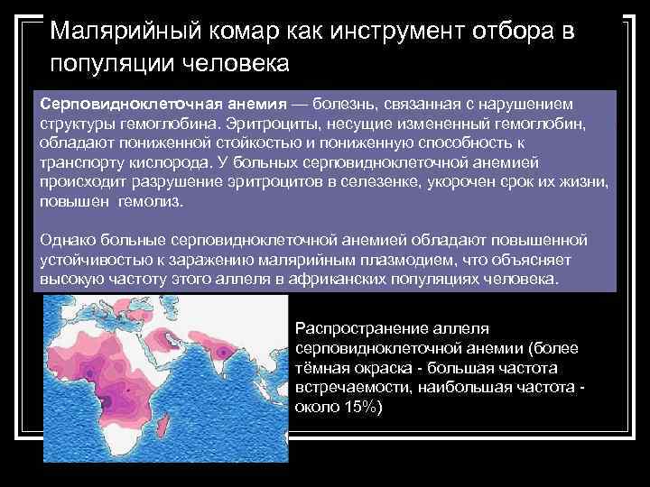 Малярийный комар как инструмент отбора в популяции человека Серповидноклеточная анемия — болезнь, связанная с