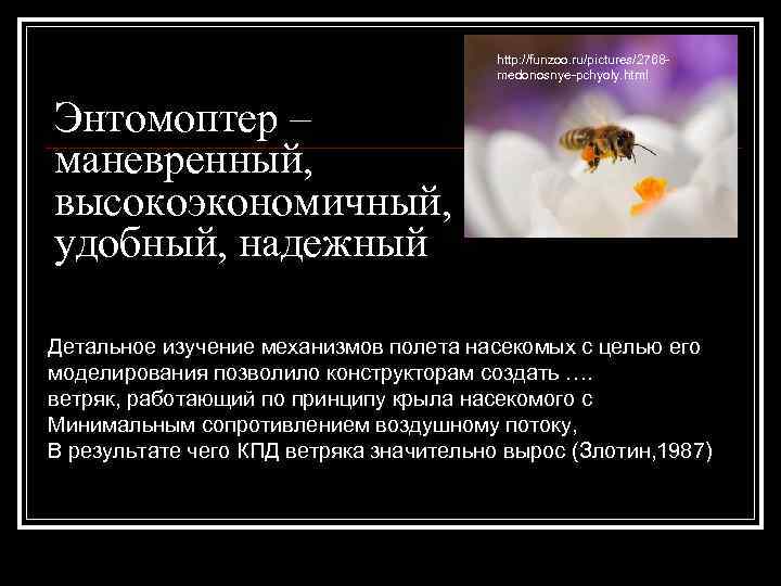 http: //funzoo. ru/pictures/2768 medonosnye-pchyoly. html Энтомоптер – маневренный, высокоэкономичный, удобный, надежный Детальное изучение механизмов