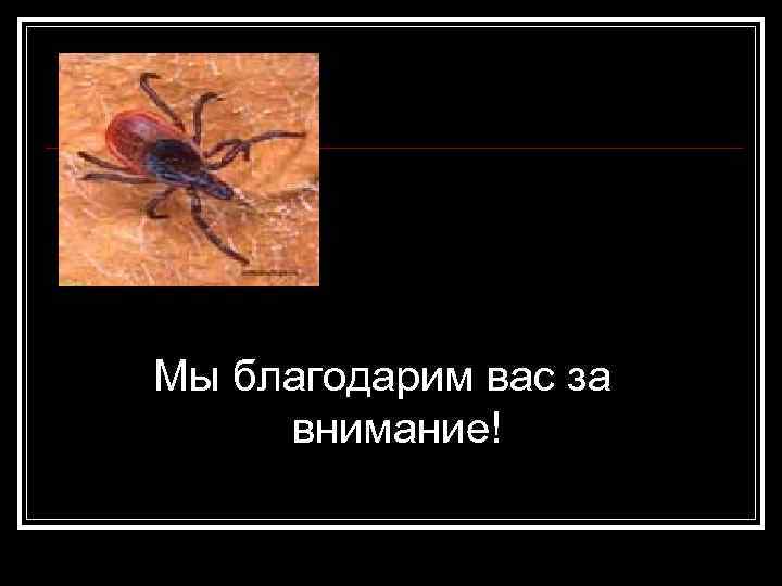 Мы благодарим вас за внимание! 