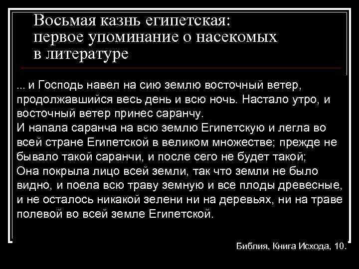 Восьмая казнь египетская: первое упоминание о насекомых в литературе … и Господь навел на