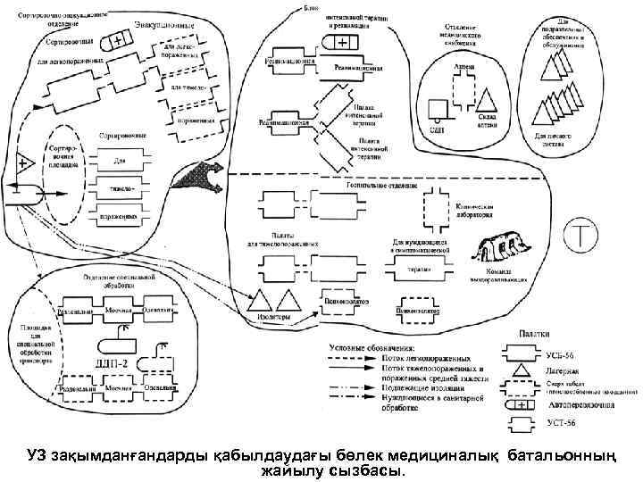 УЗ зақымданғандарды қабылдаудағы бөлек медициналық батальонның жайылу сызбасы. 