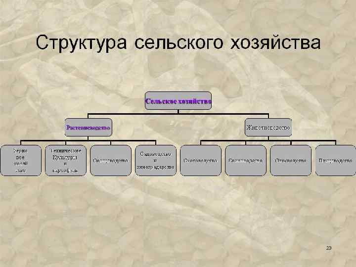 Значение место отрасли в структуре сельского хозяйства. Сельское хозяйство структура отрасли. Структура сельскохозяйственной отрасли. Схема отраслевого состава сельского хозяйства. Составьте схему отраслевая структура сельского хозяйства.