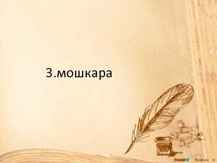  3. мошкара 