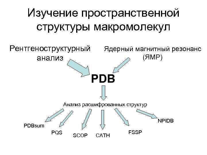 Изучение пространственной структуры макромолекул Рентгеноструктурный анализ Ядерный магнитный резонанс (ЯМР) PDB Анализ расшифрованных структур