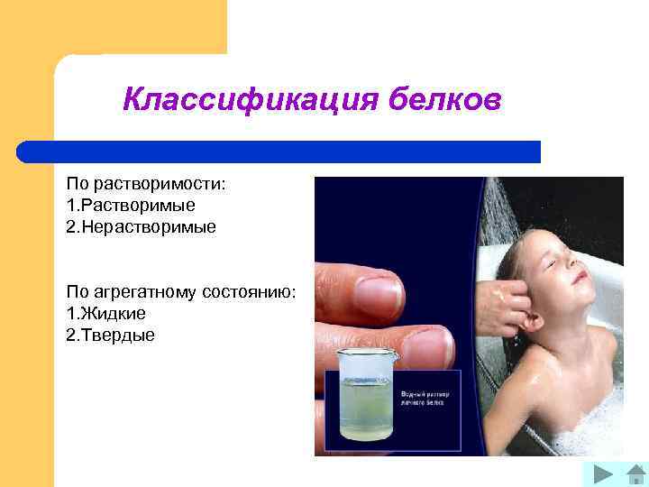 Классификация белков По растворимости: 1. Растворимые 2. Нерастворимые По агрегатному состоянию: 1. Жидкие 2.
