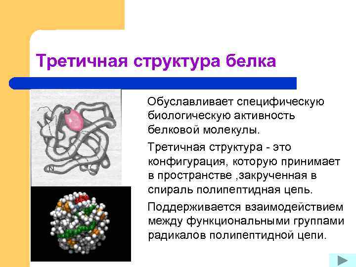 Третичная структура белка Обуславливает специфическую биологическую активность белковой молекулы. Третичная структура - это конфигурация,