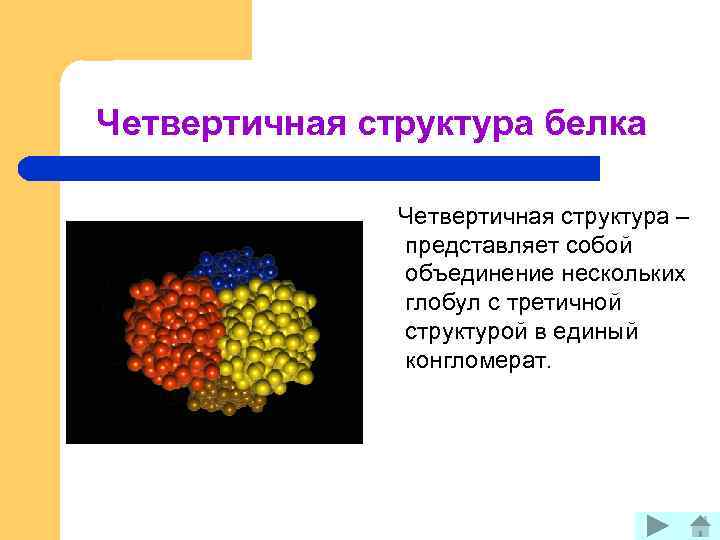Четвертичная структура белка Четвертичная структура – представляет собой объединение нескольких глобул с третичной структурой